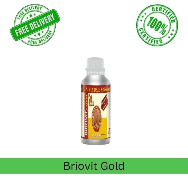 Briovit-Gold-Multi-Vitamin-Liquid-Brio-Vet-Pharma